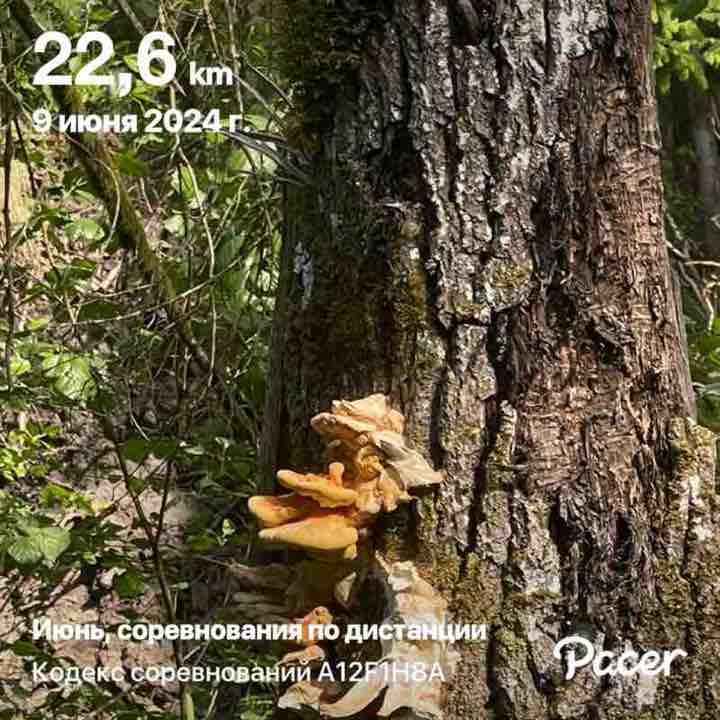 Светуля post 1