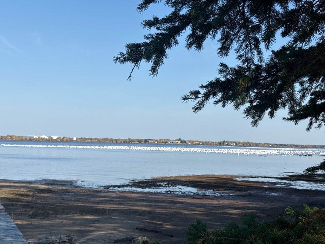 walking near me in Parc national de la Pointe-Taillon in autumn