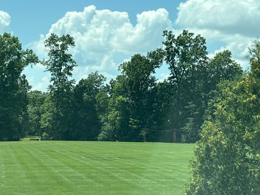 walking near me in Founders Park in summer