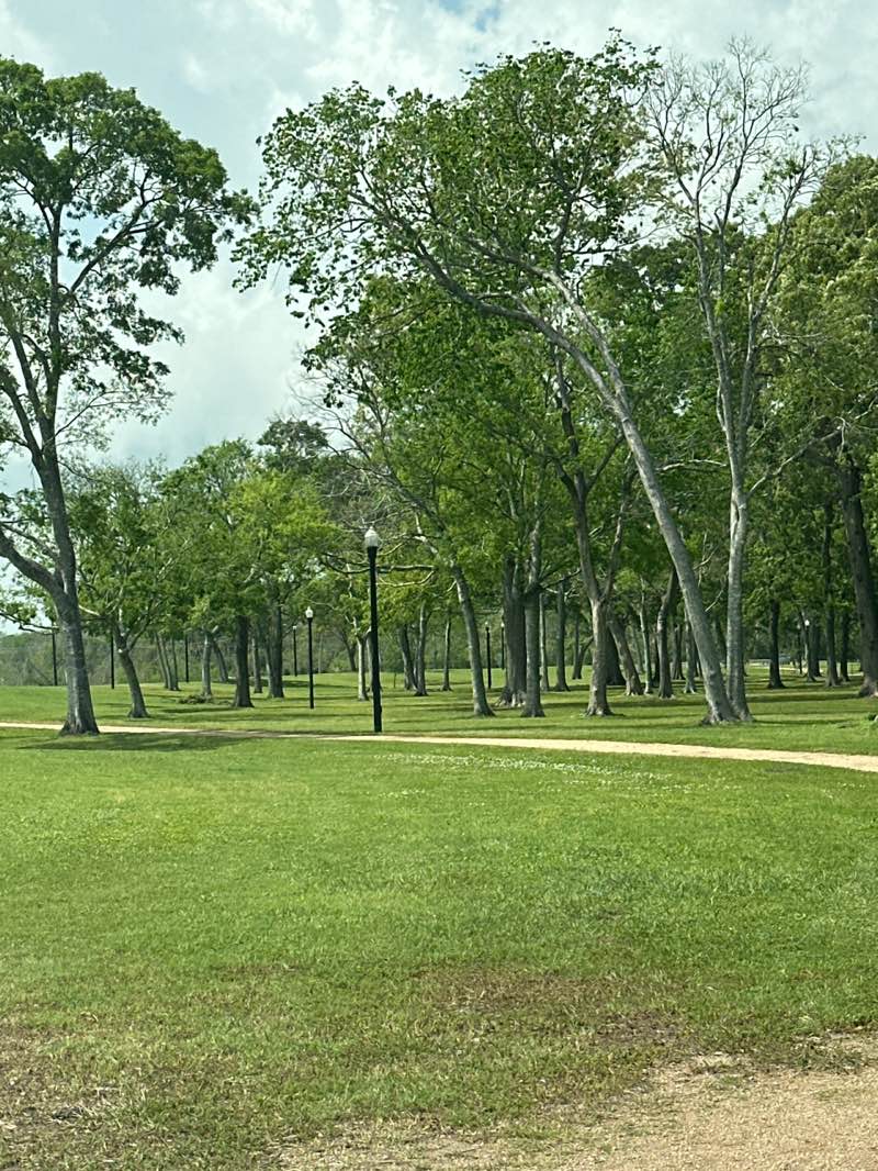 walking near me in Independence Park in spring