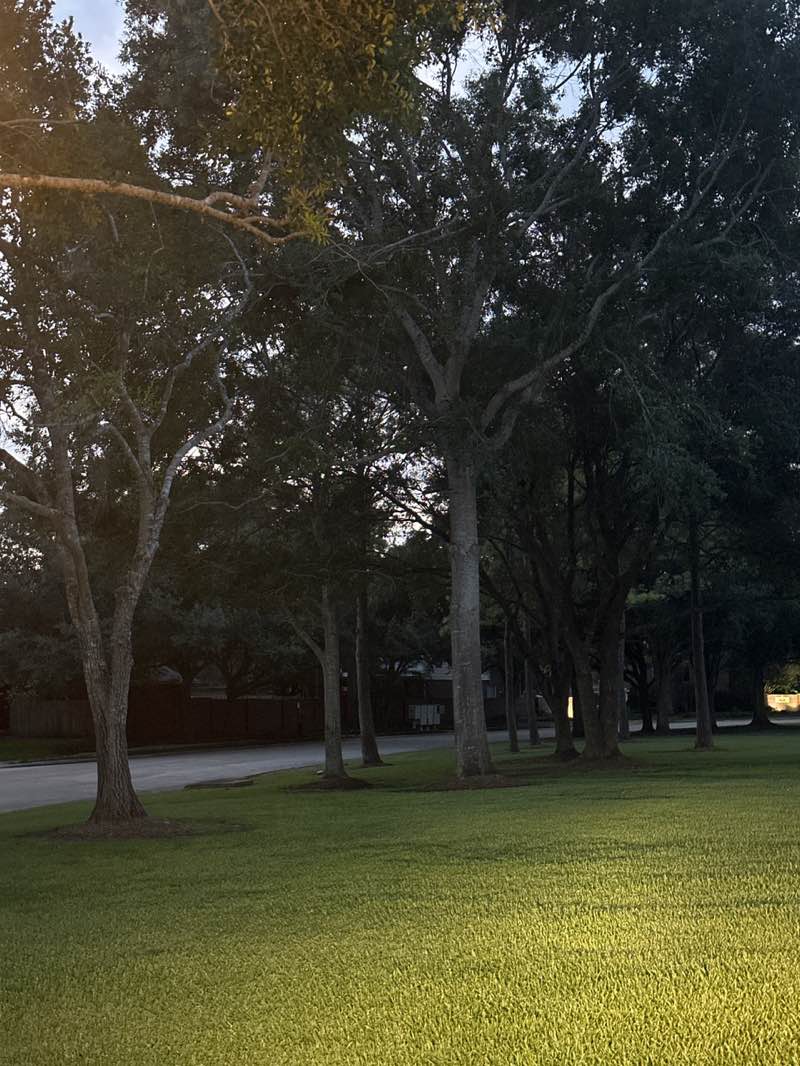 walking near me in Southwyck Lake Park in summer