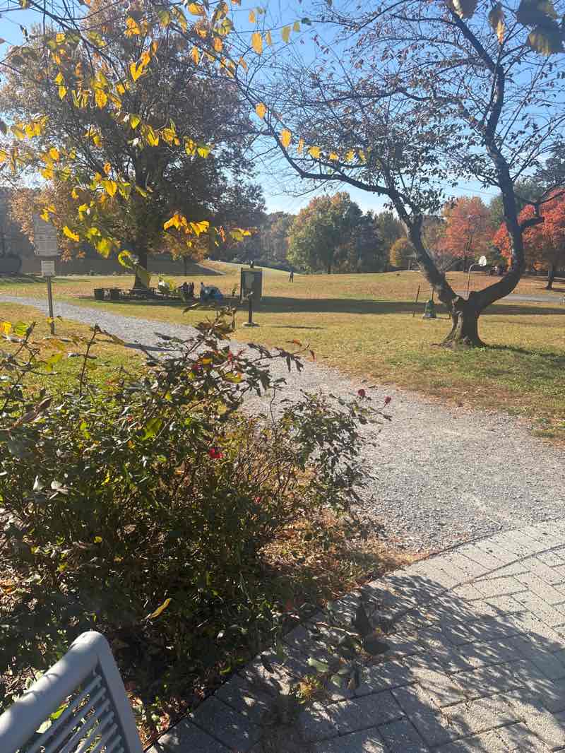 walking near me in Buddy Attick Lake Park in autumn