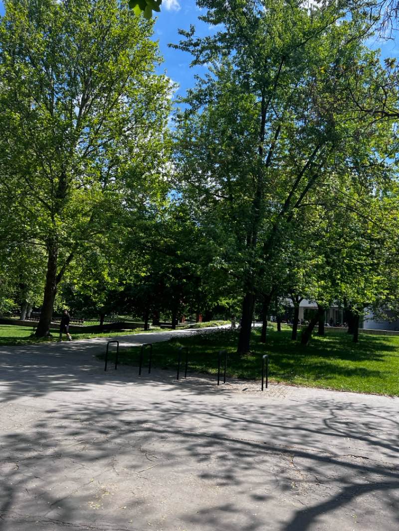 walking near me in Sad Janka Kráľa in spring