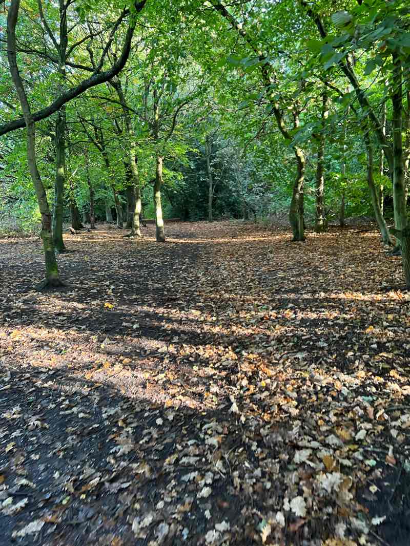 walking near me in Northycote Farm in winter