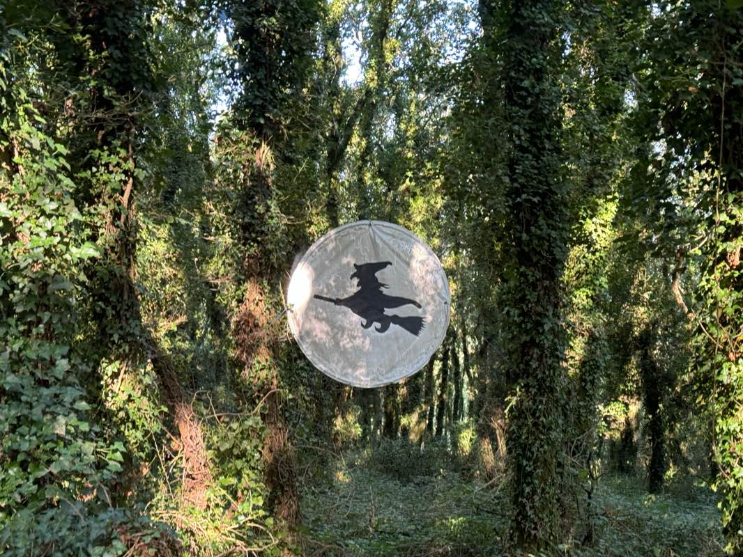 walking near me in Parque San Caetano in winter