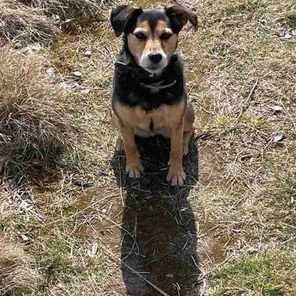 Coco 🇵🇱 post 2