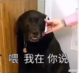 A₯㎕陳先生＿™