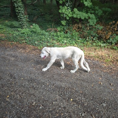 fit & aktiv Alltime ready post image