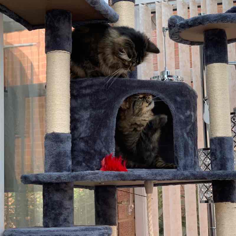 earlshilton1🇬🇧🐈‍⬛🐈‍⬛🍺😺 post 1