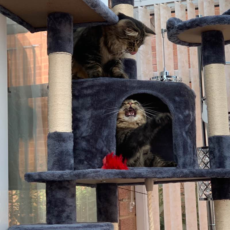 earlshilton1🇬🇧🐈‍⬛🐈‍⬛🍺😺 post 2