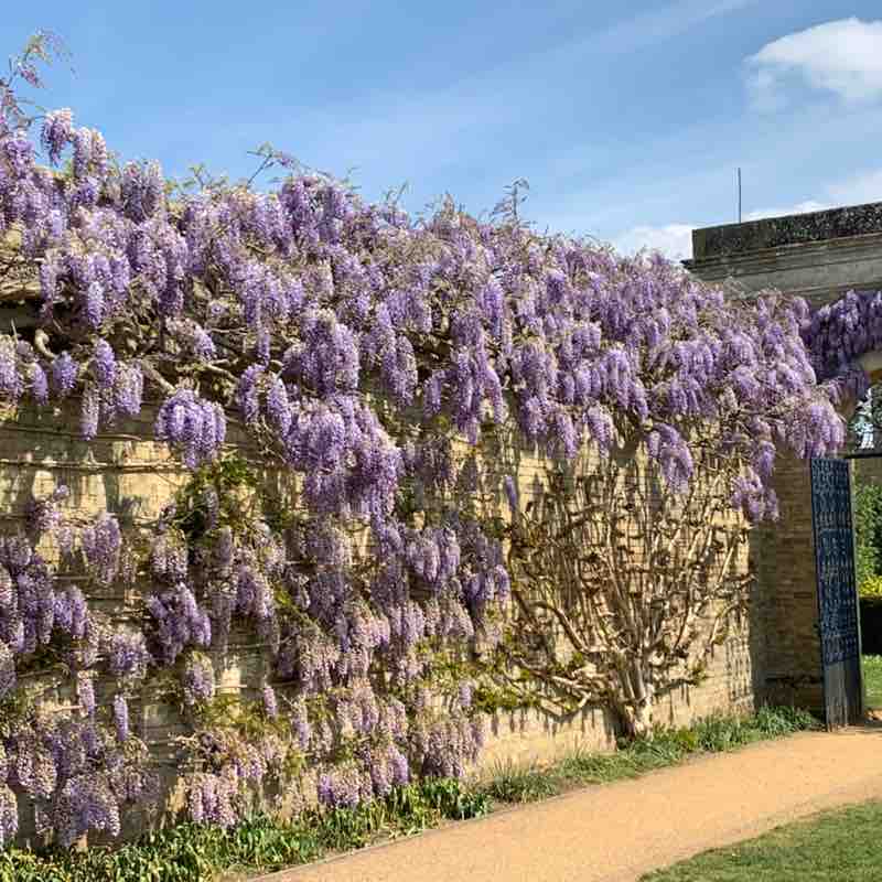 earlshilton1🇬🇧🐈‍⬛🐈‍⬛🍺😺 post 2