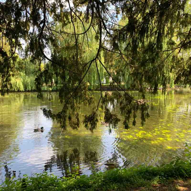 earlshilton1🇬🇧🐈‍⬛🐈‍⬛🍺😺 post 3