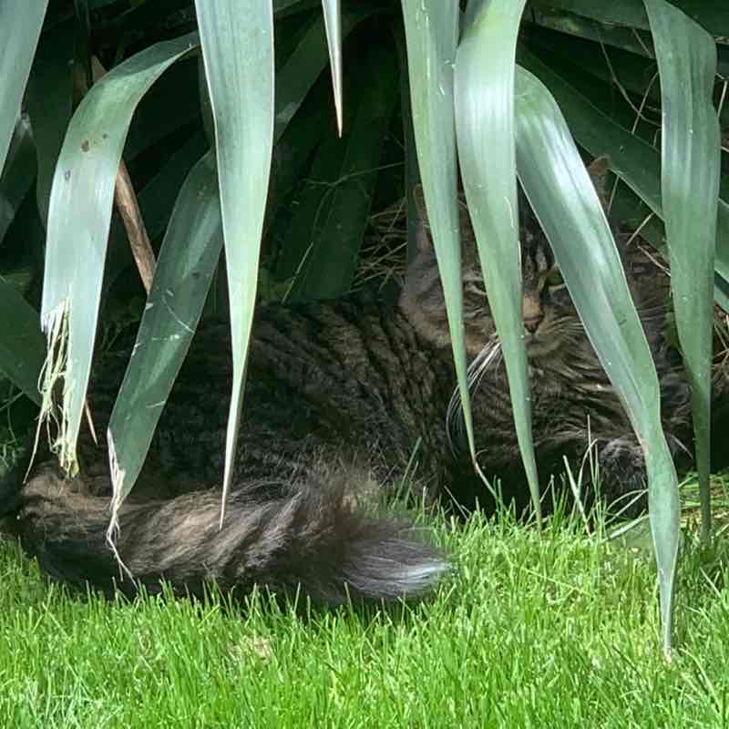 earlshilton1🇬🇧🐈‍⬛🐈‍⬛🍺😺 post 2