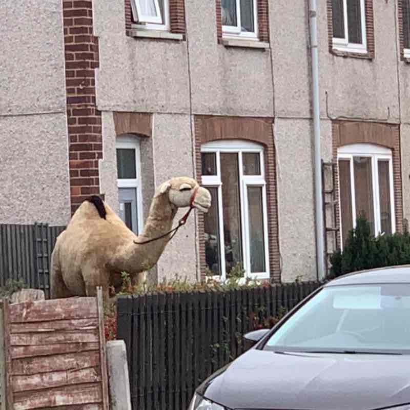 earlshilton1🇬🇧🐈‍⬛🐈‍⬛🍺😺 post 1