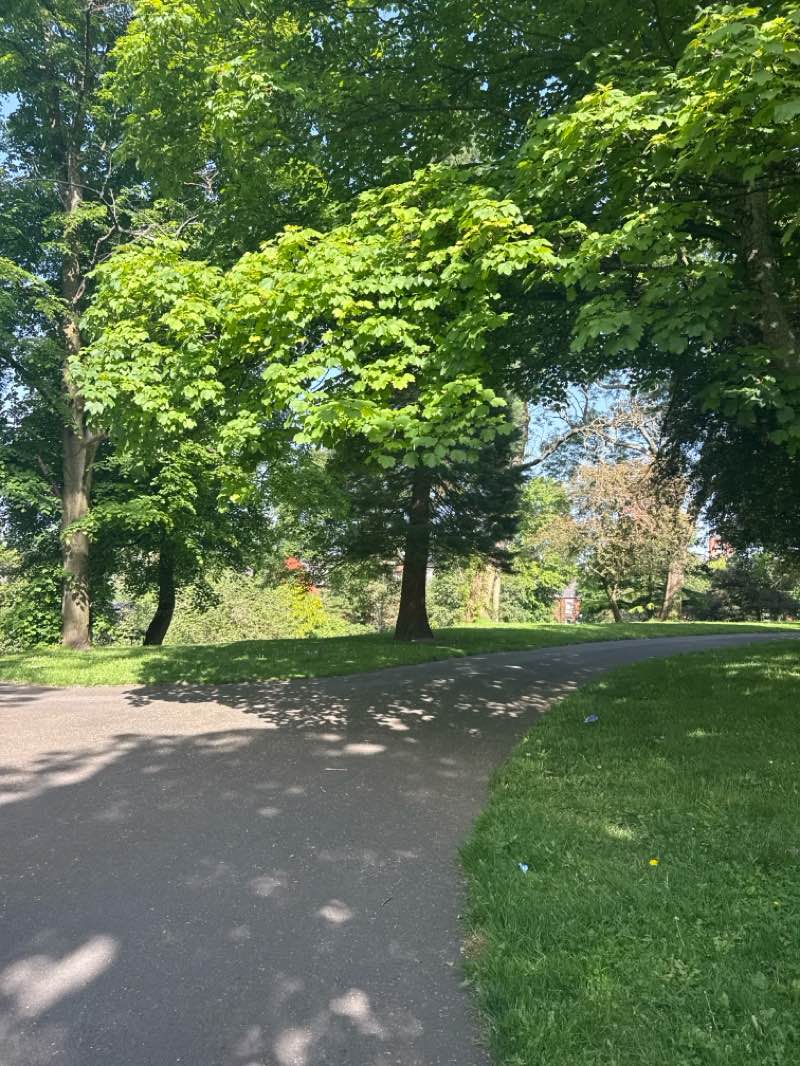 walking near me in Dukinfield Park in summer