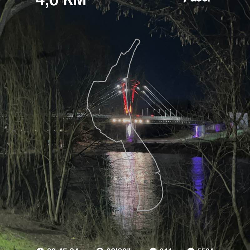 Cristiano Run&Walk ♈️🇮🇹🐕 post 1