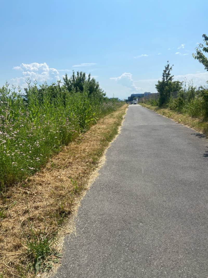 walking near me in Jardin Botanique Alpin in winter