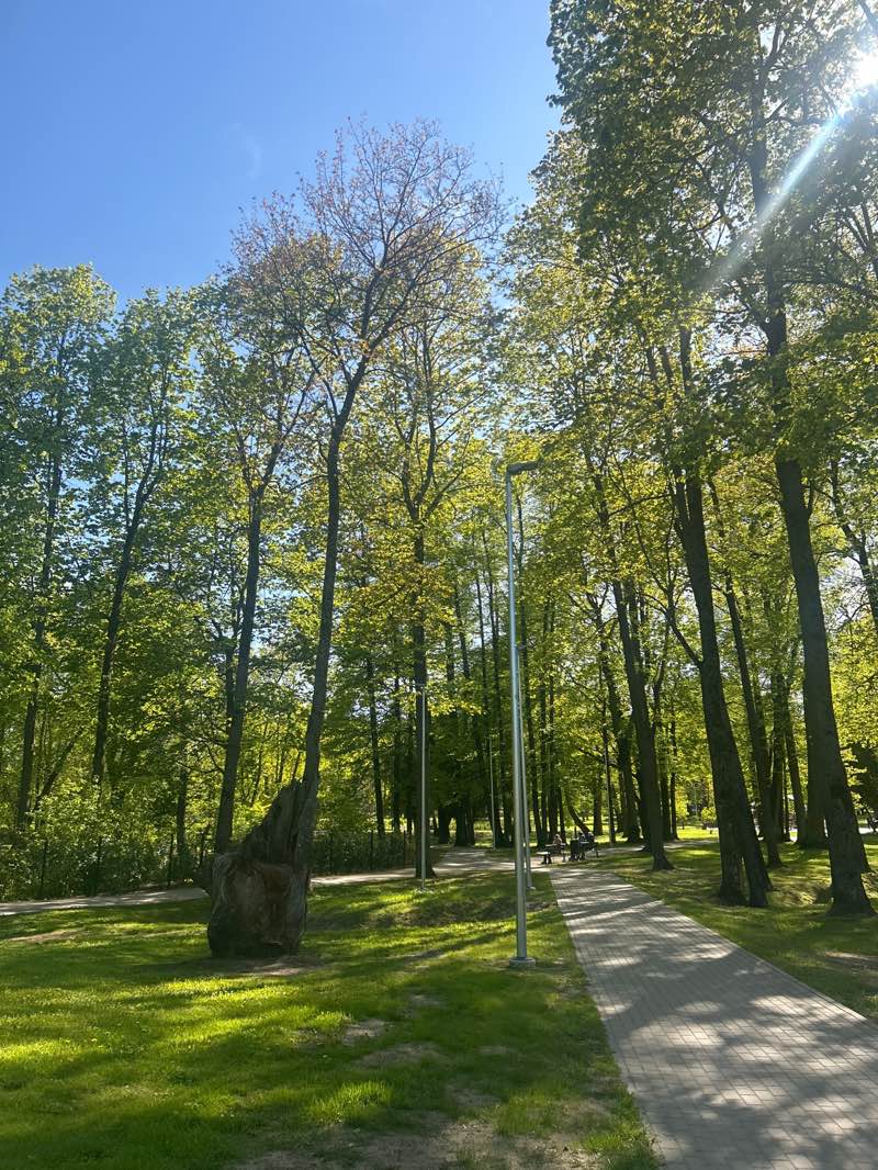 walking near me in Nordeķu parks in spring