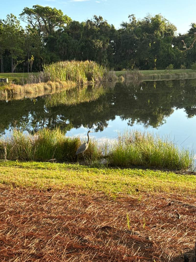 walking near me in Tom Bennett Park in autumn