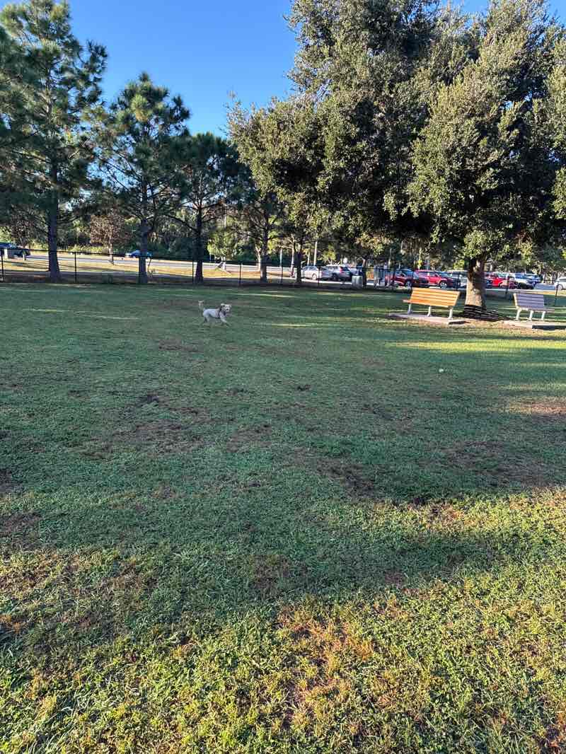 walking near me in Creekwood Park in autumn