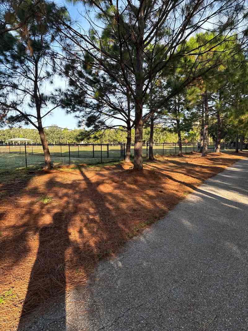 walking near me in Creekwood Park in winter