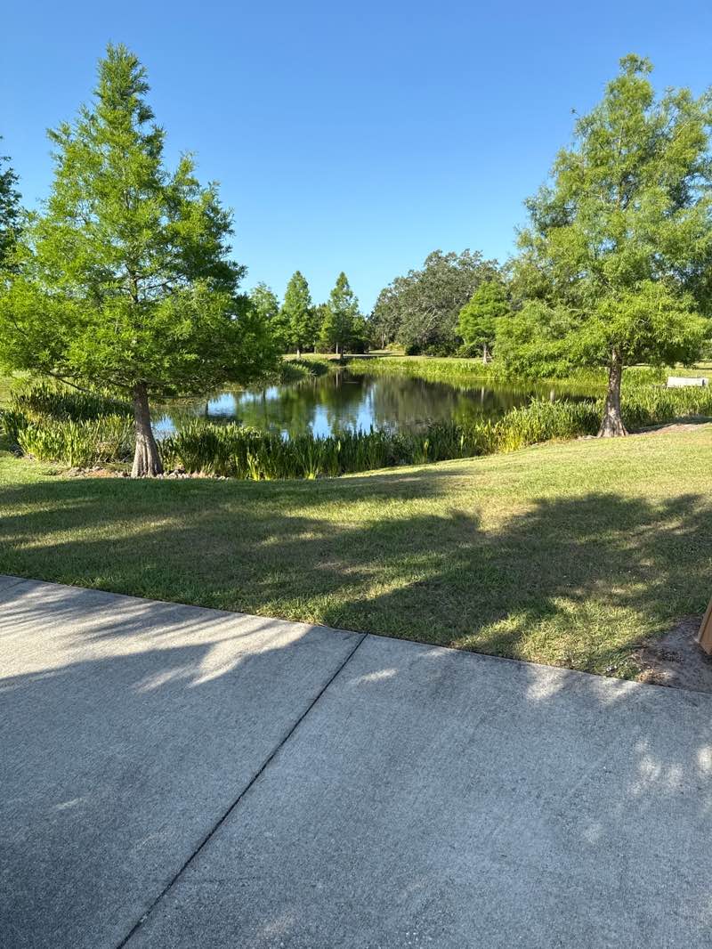 walking near me in Bob Gardner Community Park in spring