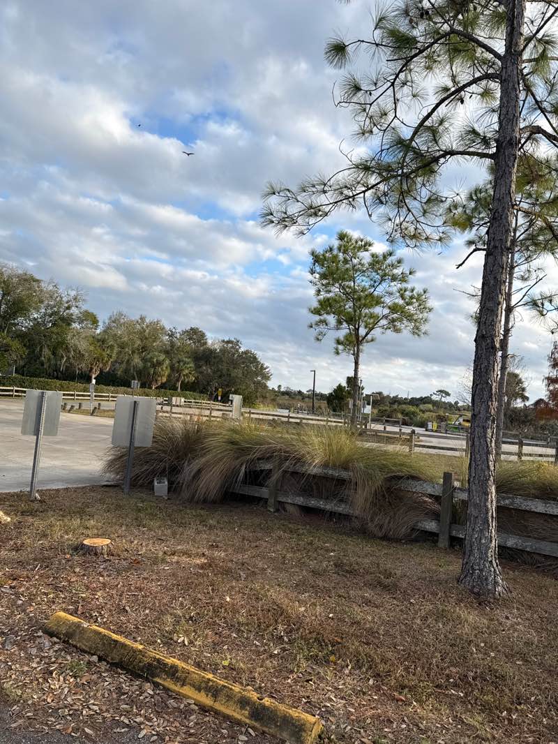 walking near me in Jiggs Landing Recreation Area in winter