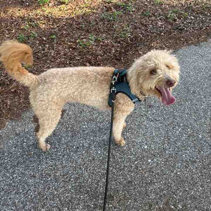 Bound to cover just a little more ground.. post 2