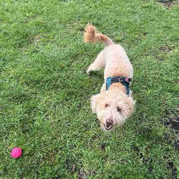 Bound to cover just a little more ground.. post 1