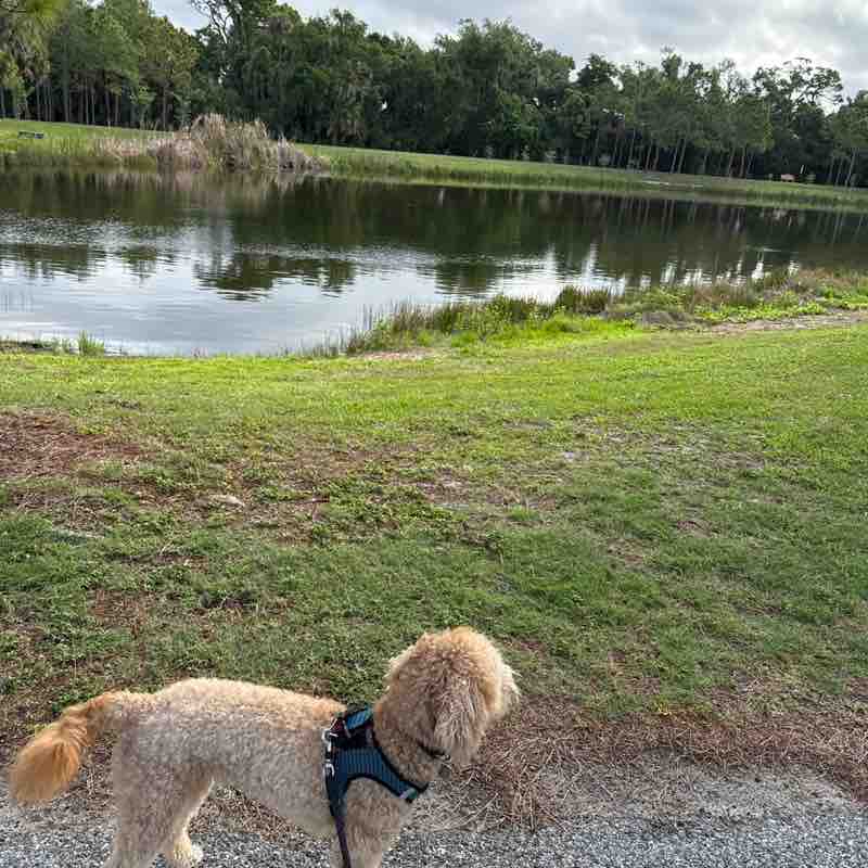 Bound to cover just a little more ground.. post 2