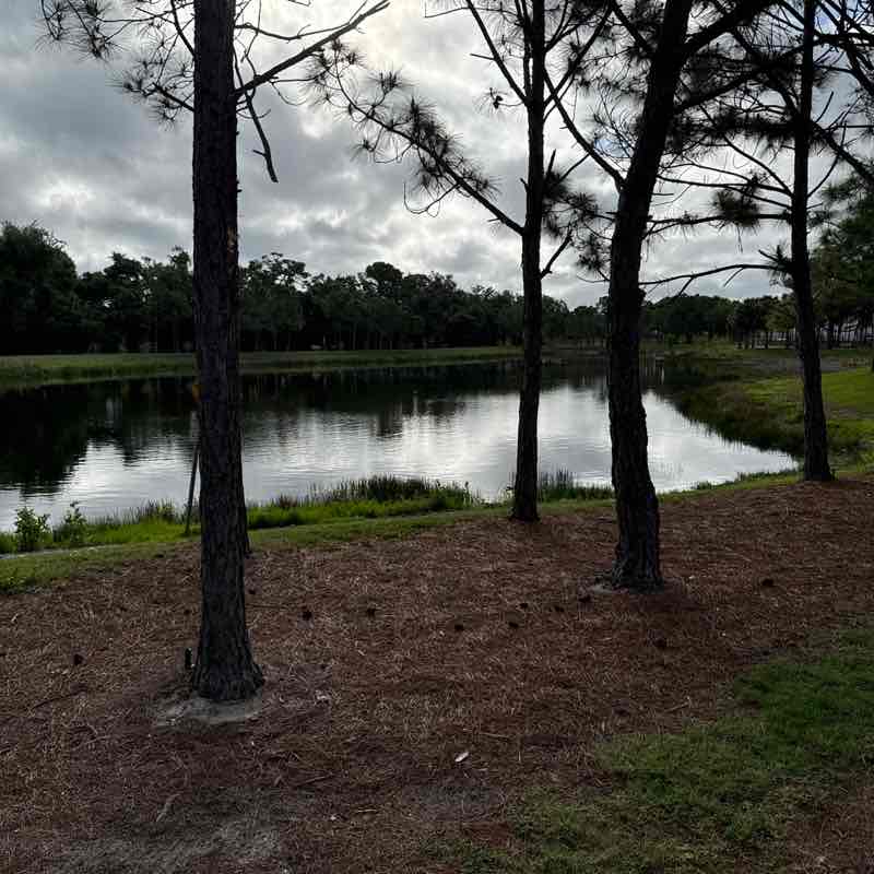 Bound to cover just a little more ground.. post 1