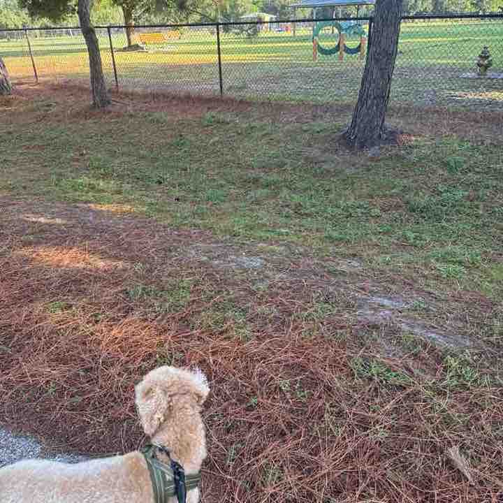 Bound to cover just a little more ground.. post 1