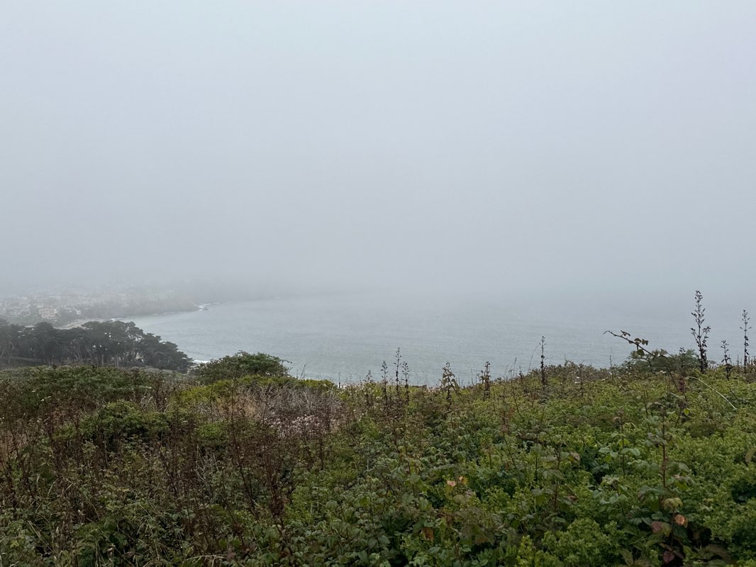 walking near me in Tiburon Ridge Open Space Preserve in winter