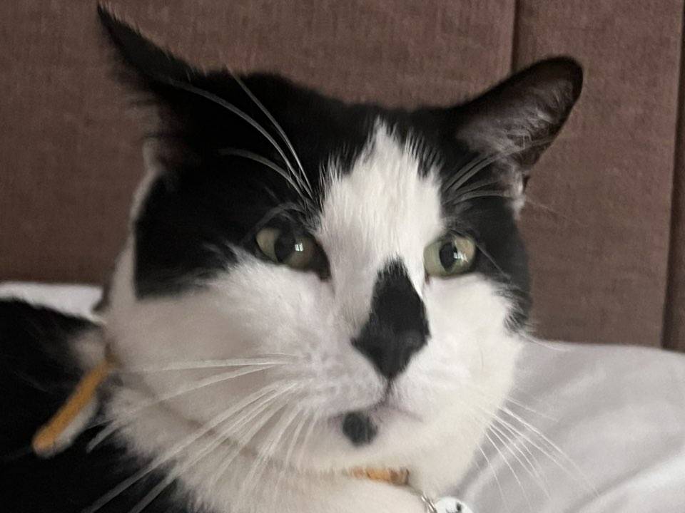 Stuart