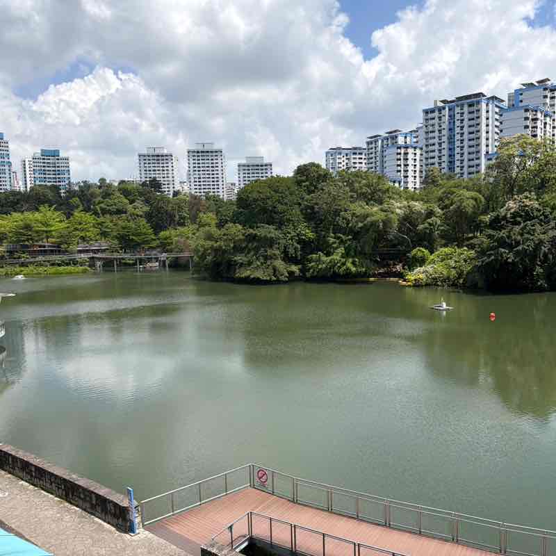 SteelRainCat1 post 3