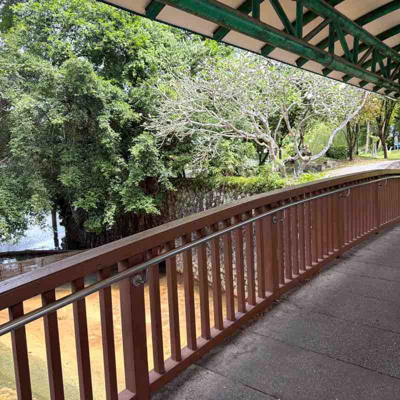 SteelRainCat1 post 3