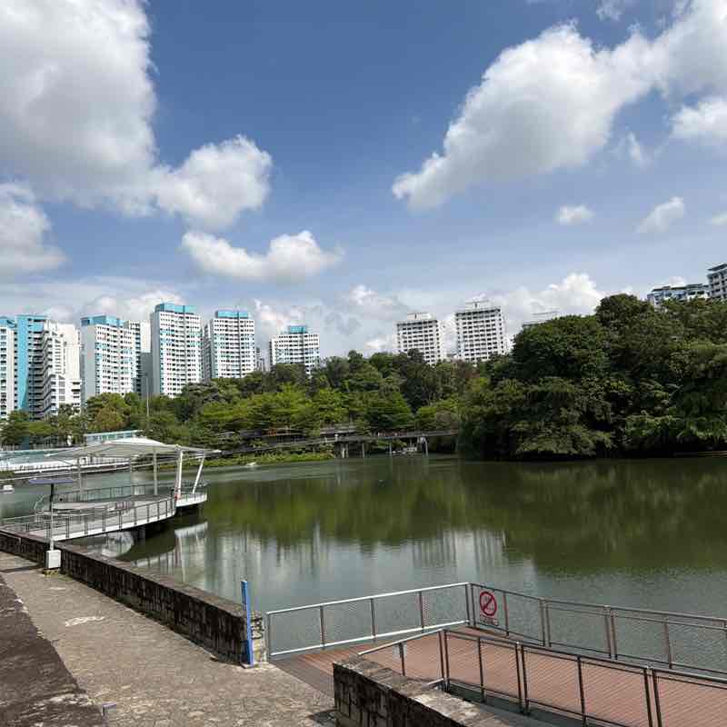 SteelRainCat1 post 3