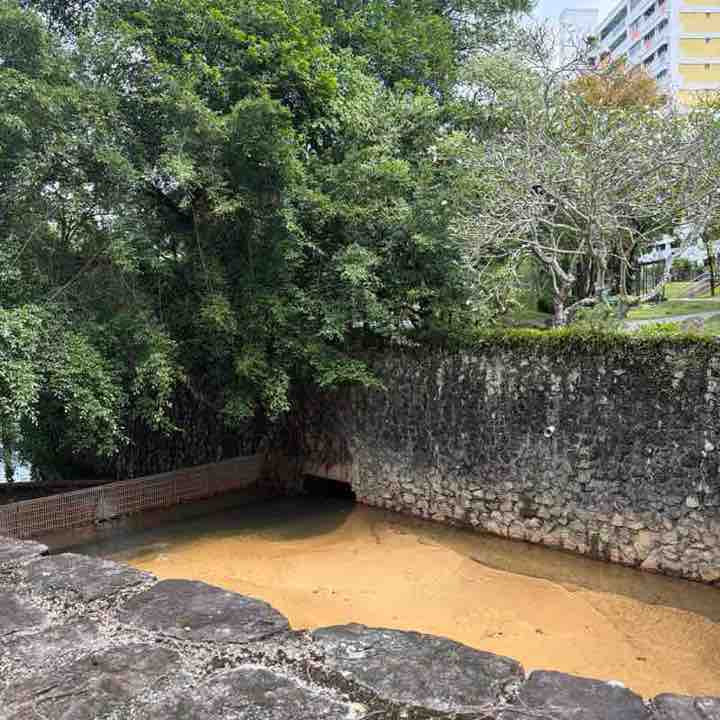 SteelRainCat1 post 1