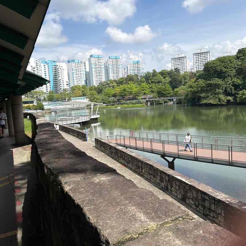 SteelRainCat1 post 2