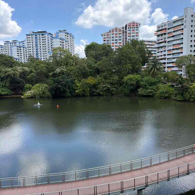 SteelRainCat1 post 2