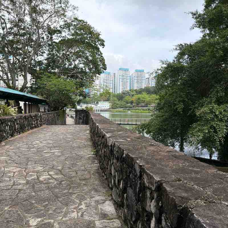 SteelRainCat1 post 2