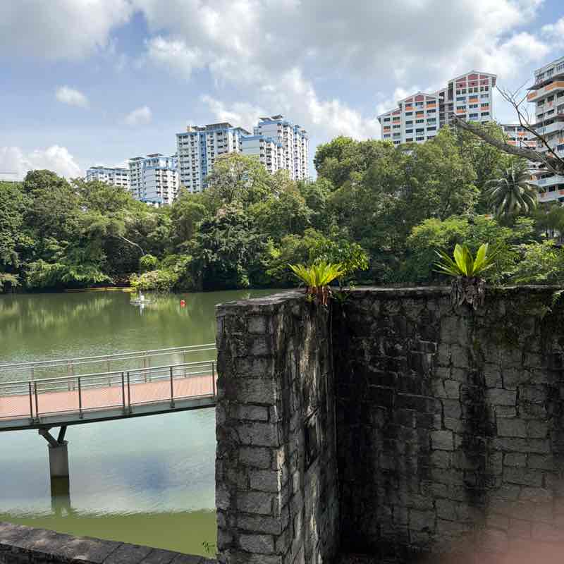 SteelRainCat1 post 1