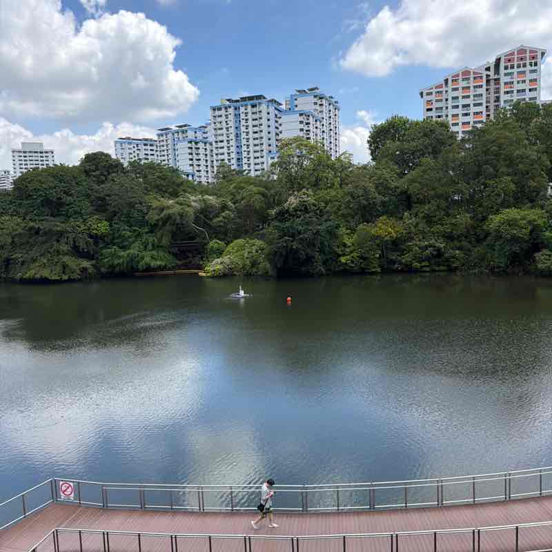 SteelRainCat1 post 3