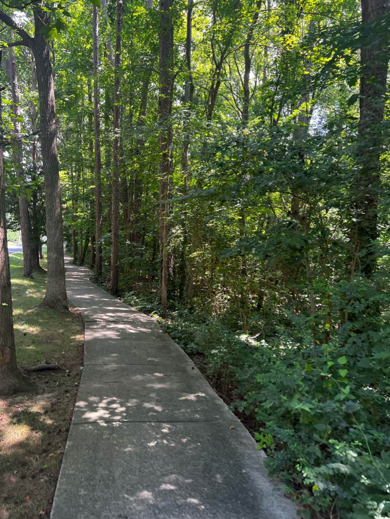 walking near me in Rice Park in winter