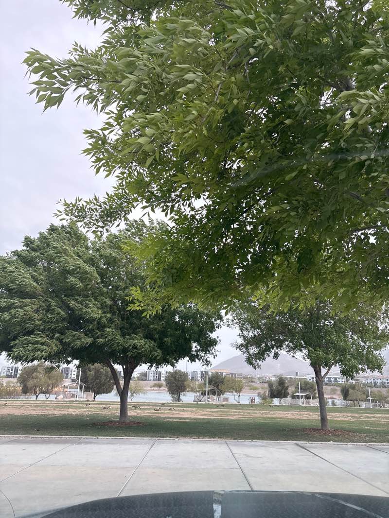 walking near me in Cornerstone Park in spring