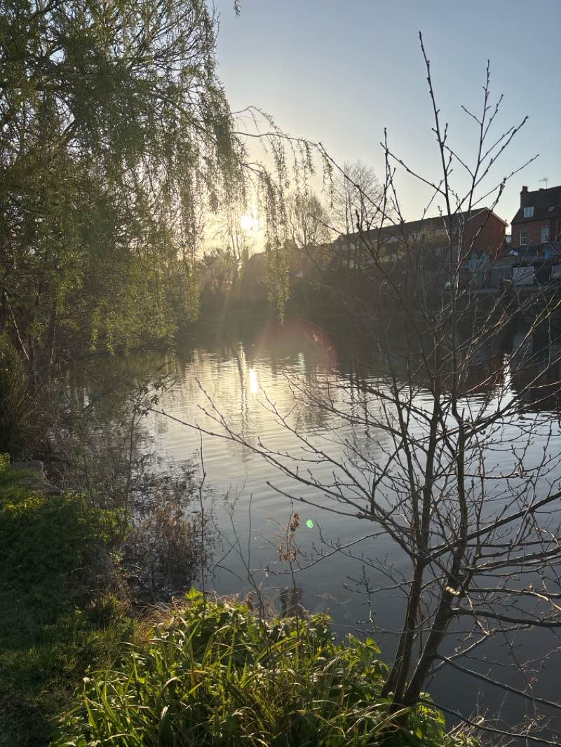walking near me in Dorking Rec - Meadowbank Recreation Ground in spring