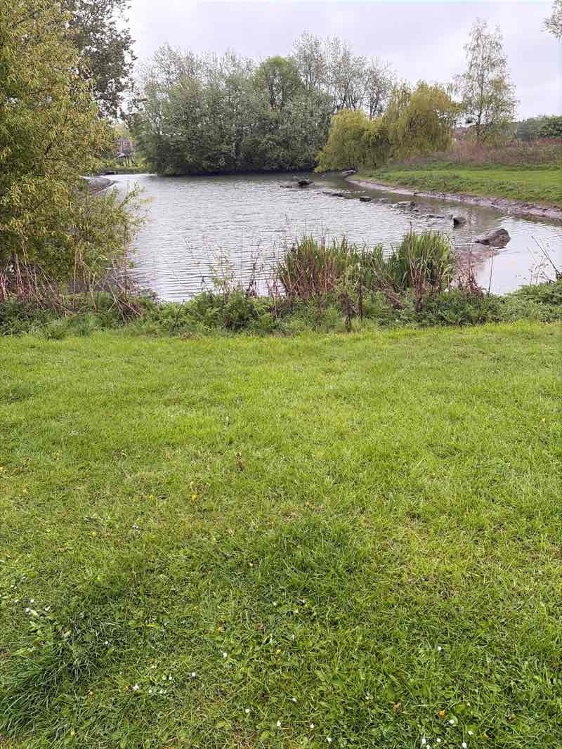 walking near me in Oliver Henderson Park in spring