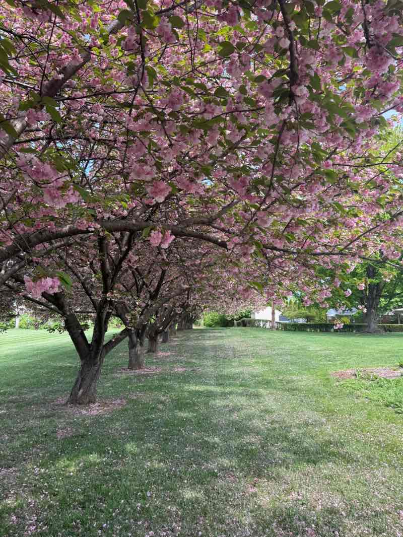 walking near me in Sherwood Park in spring