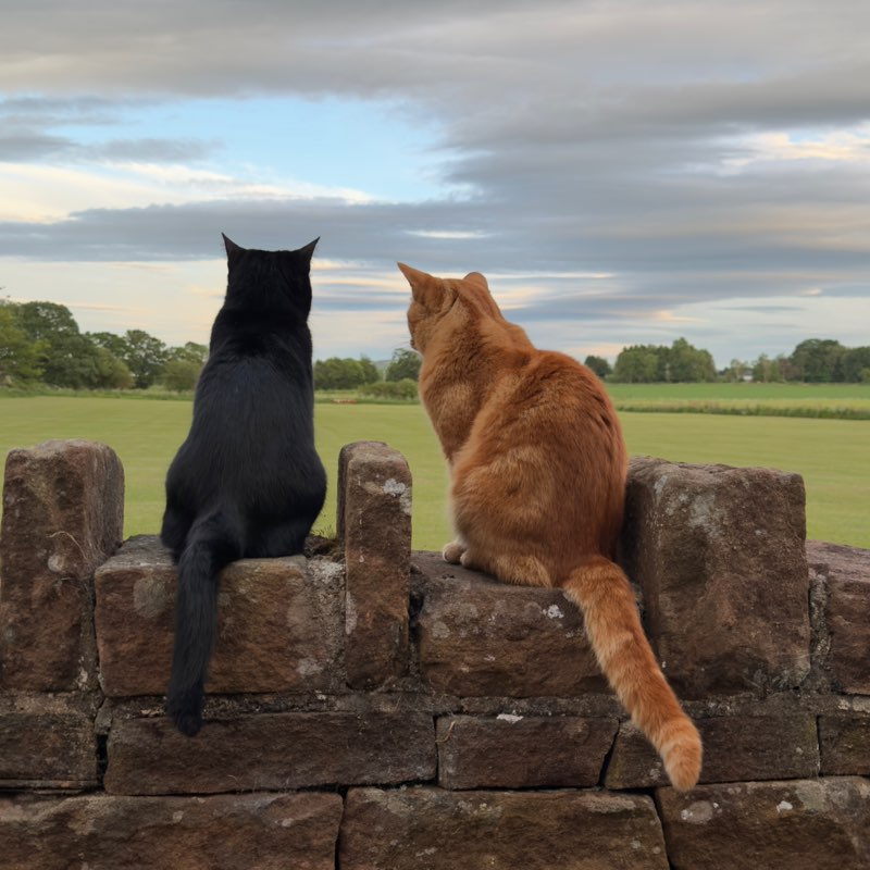Jude