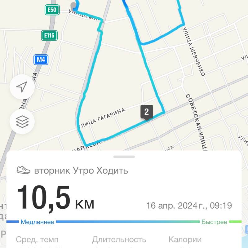 Аксай в деле! Ходим и бегаем Альбина post image